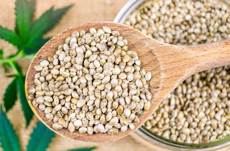 propiedades de las semillas de cáñamo