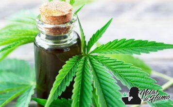 ¿Qué es el HHC? Descubre el nuevo cannabinoide y sus efectos qué es el HHC