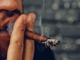 ¿Qué es un blunt y por qué es popular? qué es un blunt