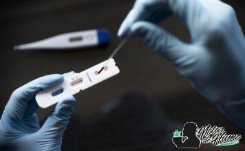 Cómo dar negativo en un test de drogas de saliva test de drogas