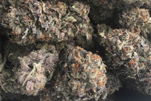 Cherry Cookies strain