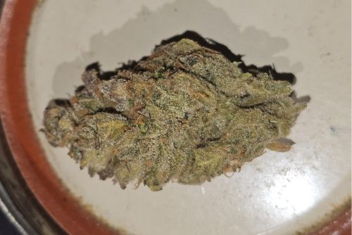 Grape Soda strain