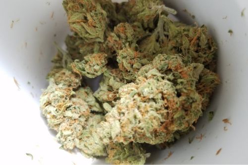 Cherry Runtz strain