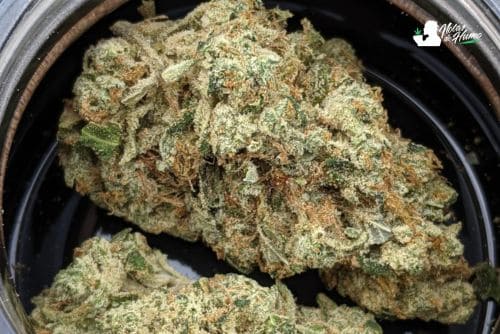 l'orange weed effects