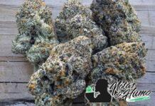 Blue Nerds: Opiniones y efectos Blue Nerds Weed
