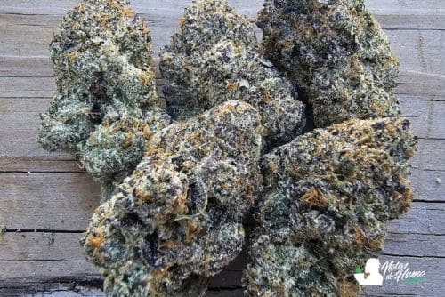 Blue Nerds Weed
