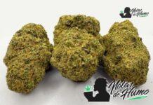 Starburst: Opiniones y Efectos