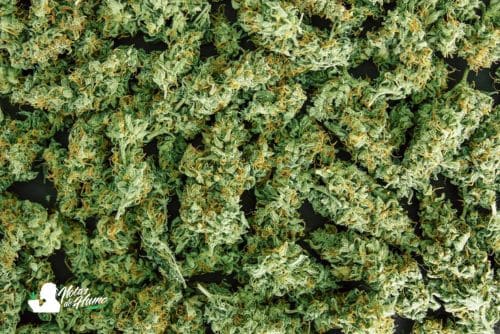 Private reserve weed