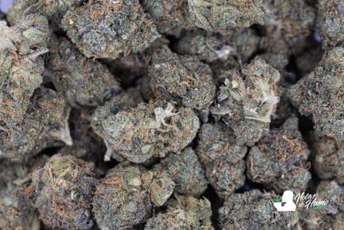 Watermelon Gelato Weed