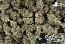 Black Amber: Opiniones y Efectos Black amber weed