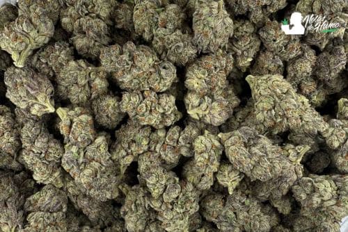Black amber weed