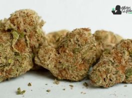 Melonade: Opiniones y Efectos