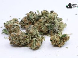 Pineapple Upside Down Cake: Opiniones y Efectos Pineapple Upside Down Cake weed