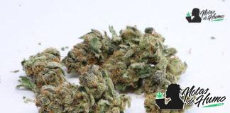 Pineapple Upside Down Cake weed