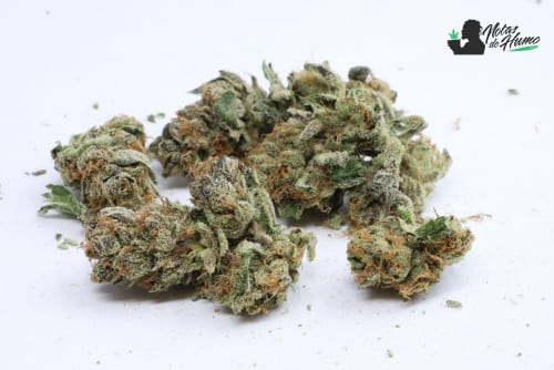 Pineapple Upside Down Cake weed