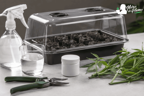 Materiales necesarios para usar enraizante para esquejes y preparar el proceso de enraizado.