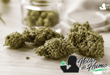 Mejores Flores CBD en 2026: variedades que merece la pena conocer Flores CBD sobre una superficie clara.