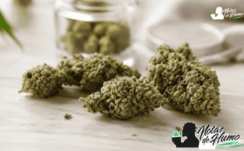 Mejores Flores CBD en 2026: variedades que merece la pena conocer Flores CBD sobre una superficie clara.