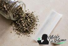 Tabaco sin nicotina: qué es, tipos y cómo elegir una alternativa