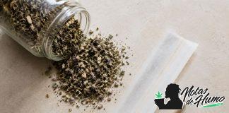 Tabaco sin nicotina: qué es, tipos y cómo elegir una alternativa