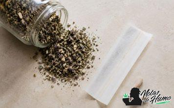 Tabaco sin nicotina: qué es, tipos y cómo elegir una alternativa
