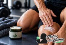 CBD y deporte: ¿por qué lo utilizan algunos deportistas? CBD para recuperación muscular después de hacer deporte